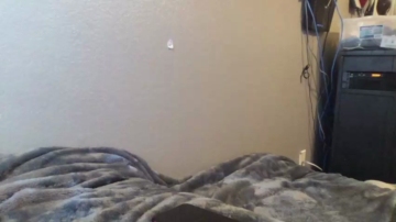 Tcanale17  26-11-2021 video talkative